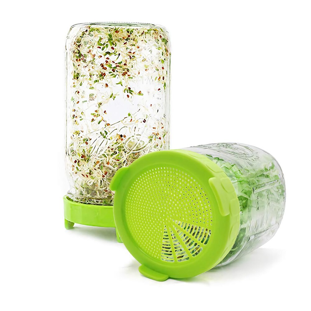 Mason Jar Sprouting Lids American Bean Sprouts Glass Jar